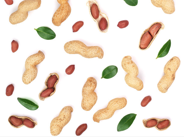 花生壳孤立在白色背景和复制空间的文本，俯视图。平躺模式图片下载