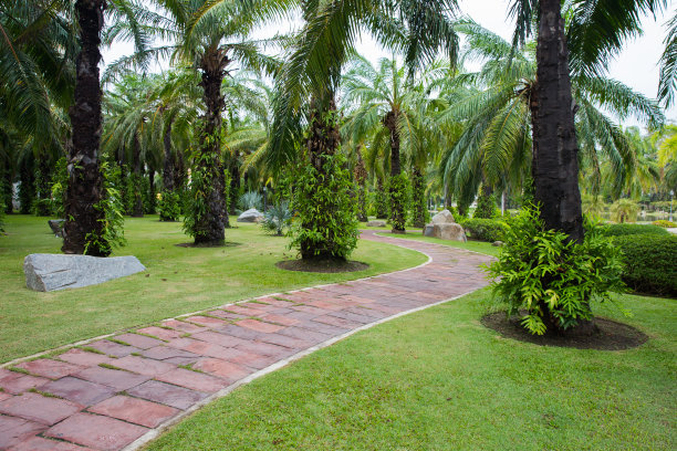 花园里铺着橙色瓷砖的走道图片下载