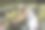 一个年轻女子在农场采花。园丁。图片下载