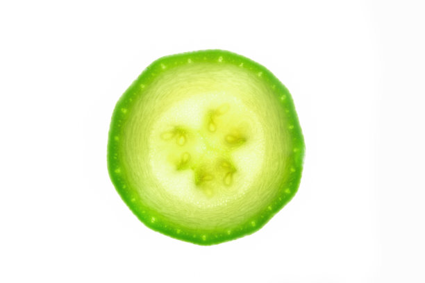 一片孤立的白西葫芦图片下载