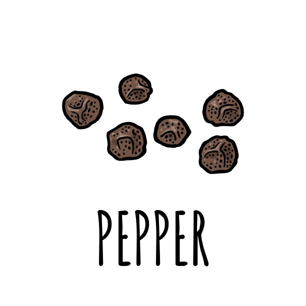 黑胡椒粉。矢量彩色古刻图片下载
