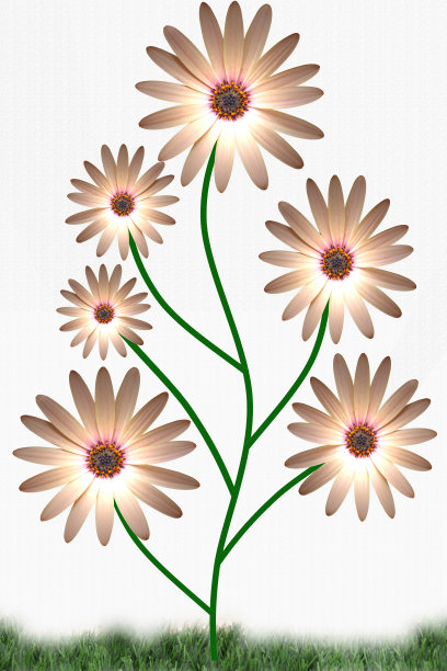 种植植物图片下载