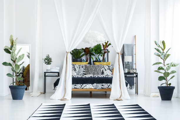 精致的卧室里有榕树素材图片