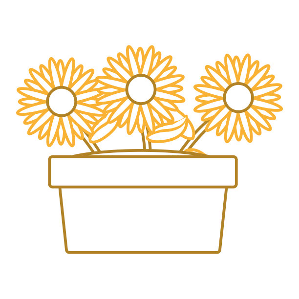 孤立的向日葵设计图片下载