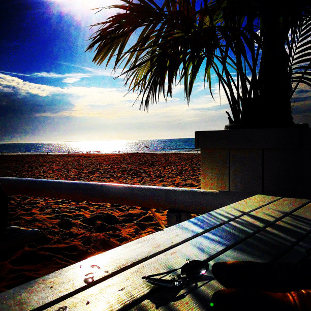 热带海滩上的棕榈树图片下载