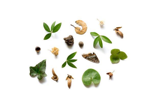 与自然元素的排列图片下载