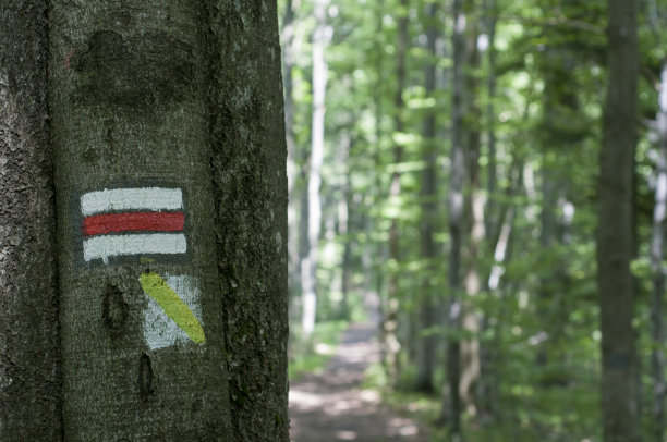 旅游标志或标志图片下载