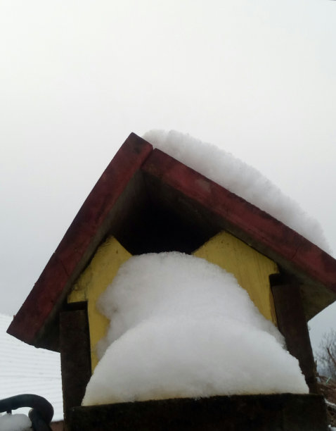 房子的胡子图片下载