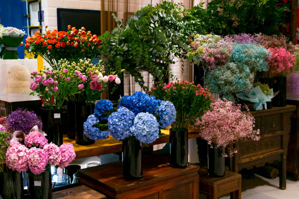 花店里的蓝绣球花束图片下载