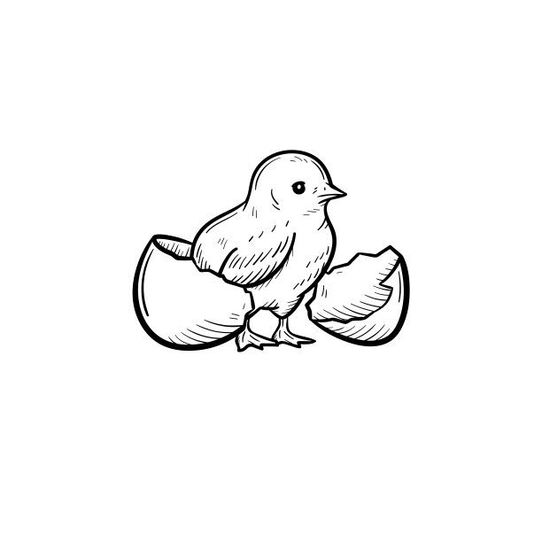 小鸡手绘素描图标图片下载