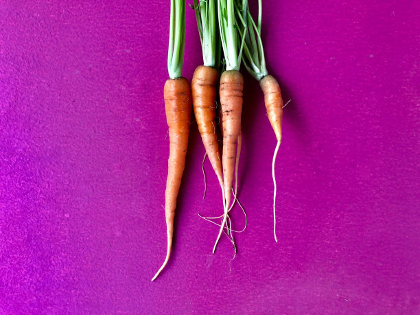 紫色背景上的胡萝卜图片下载