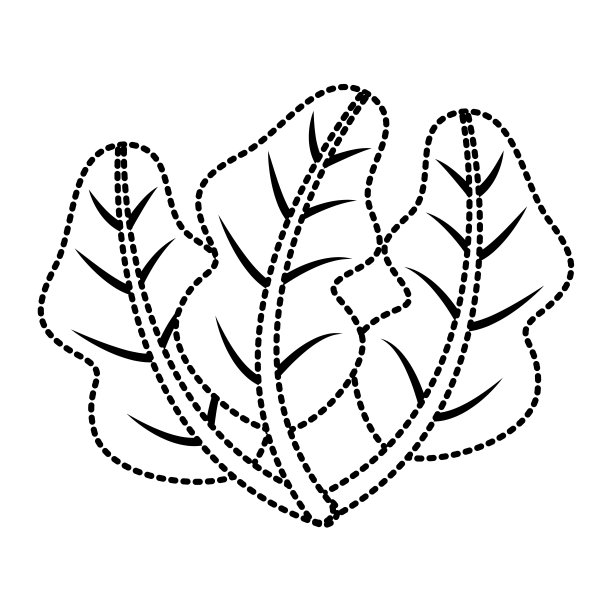 菠菜食品健康新鲜的形象图片下载