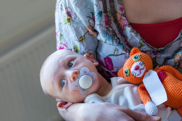 抱着奶嘴的小男孩躺在妈妈的怀里，旁边是一只橙色的针织毛绒玩具猫。图片下载