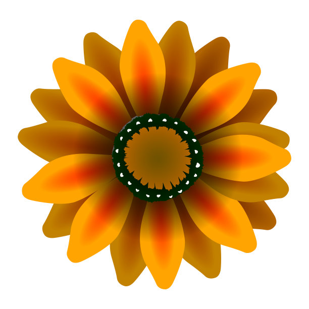 孤立的彩色花图片下载