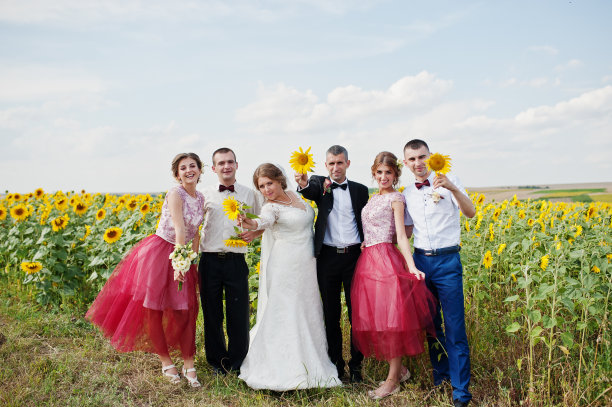 婚礼夫妇和伴郎和伴娘摆姿势与向日葵在田野。图片下载