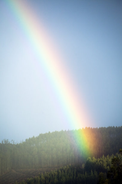 彩虹背景和山林。图片下载