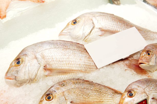 整只鲷鱼在鱼市出售。近距离观察鲷鱼和鱼鳞的细节。选择焦点抓拍显示可以用作背景。图片下载