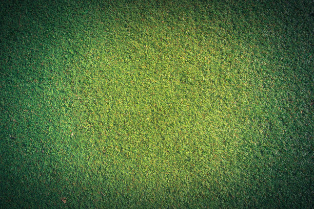 顶视图人工绿草与复制空间图片下载