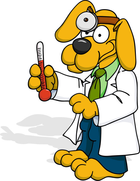 医生的狗图片下载