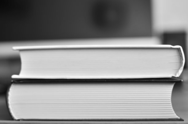 两本书图片下载