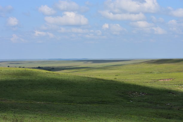 集市牛穿越图片下载