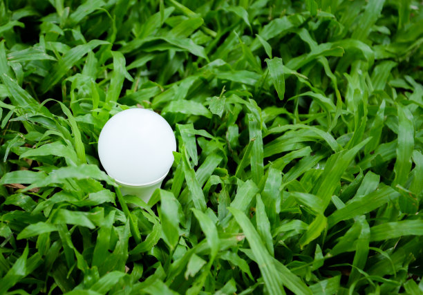 草地上照明的LED灯泡图片下载