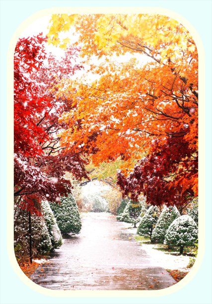 明亮的发光图片下载