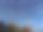 蓝天下的树基地。图片下载