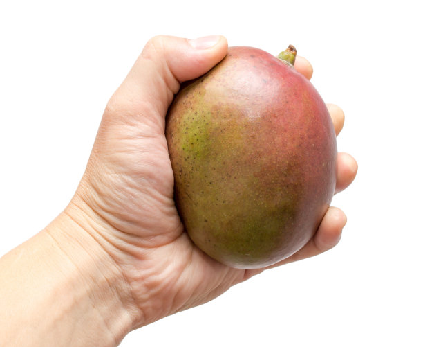 白色背景上拿着芒果图片下载