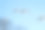 丹顶鹤照片素材ID：312933816