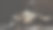 黑色墙壁背景上的公牛头骨。有选择性的重点图片下载