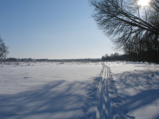 乌克兰东部冬季边缘的全景图。图片下载