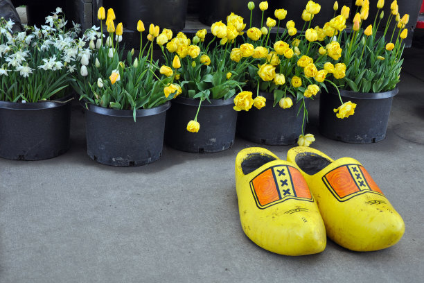 黄色的木鞋图片下载