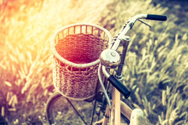 风景图片复古自行车与夏季草地在日落;古董过滤器风格。经典自行车，老式自行车风格的贺卡，明信片图片下载