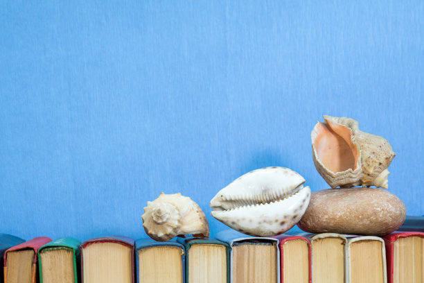 海贝壳和石头上的彩色书在浅蓝色的背景。教育的概念。本空间图片下载