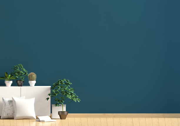 现代化的内饰，有架子，植物和枕头。墙模型。三维演示图片下载