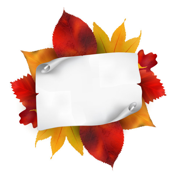 一卷旧纸和秋叶。图片下载