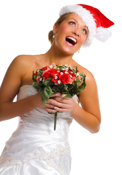 圣诞节的新娘图片下载