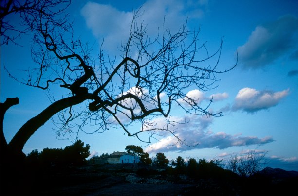 《暮光之城》图片下载