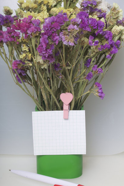 一束干花装在塑料玻璃杯里。一张纸条用晾衣夹贴在玻璃上。在白色的背景上。图片下载