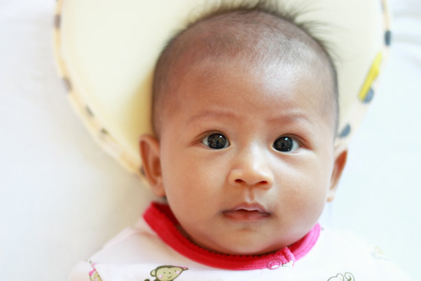 好奇的娃娃脸图片下载