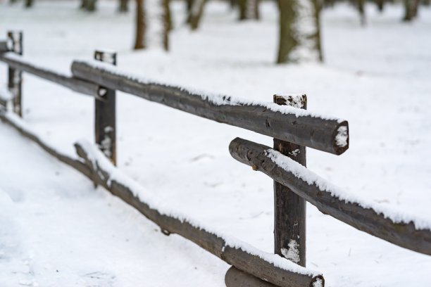 冬天老篱笆特写图片下载
