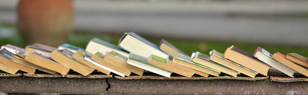 一本旧书的街头出售图片下载