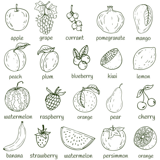 套新鲜健康的手绘水果隔离。有机农场插图。图片下载