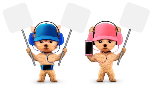 滑稽的狗拿着横幅和智能手机图片下载