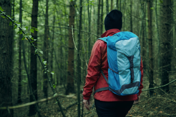 探索森林图片下载