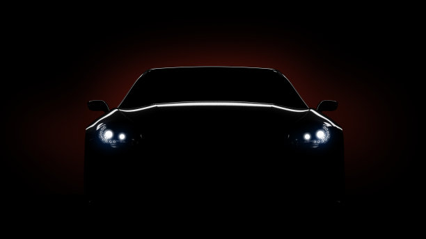 正面照片素材ID：312993504