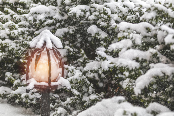 美丽的冬天背景与树木覆盖雪和路灯。雪落，调色照片，应付空间。图片下载