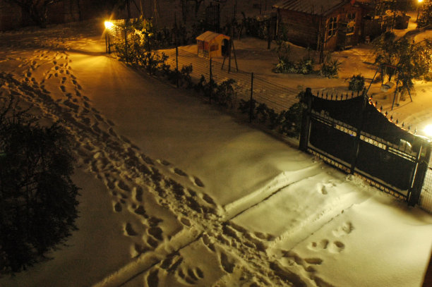 暴风雪后的脚步声图片下载