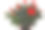 玫瑰花丛图片下载